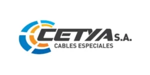 Cliente de diseño de página web y publicidad en Google