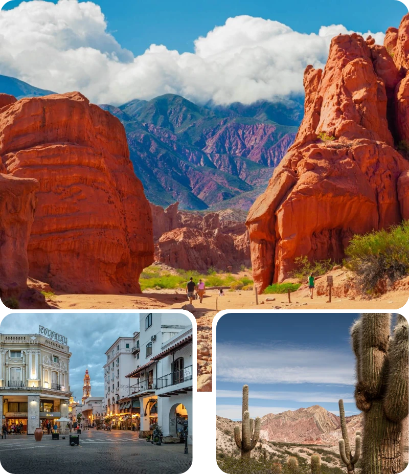 Diseño web en Salta